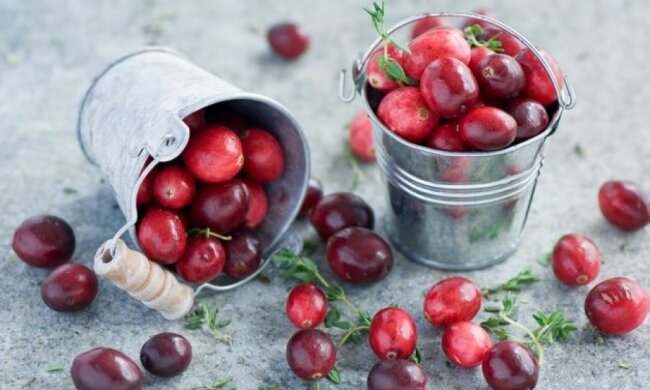 Названі стимулюючі мозок продукти