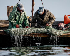 Азовское море лишило украинцев главного продукта, вполовину меньше: что происходит