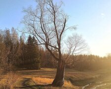 Погода в Україні, фото з вільних джерел