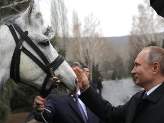 Одиночество толкает на странные вещи