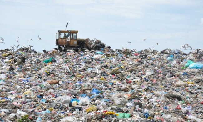 Грибовицьке сміттєзвалище, фото "Суспільне"