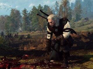 The Witcher / фото: скриншот Youtube