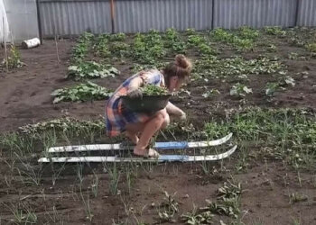 На дачі, фото з фейсбук
