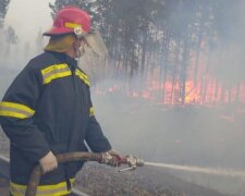 Пожар на Житомирщине, фото из свободных источников