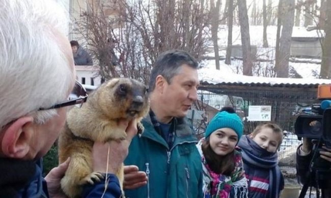 Львовский сурок предсказал долгожданное тепло