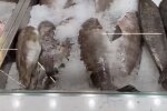 Рыба на прилавке. Фото: скриншот с видео