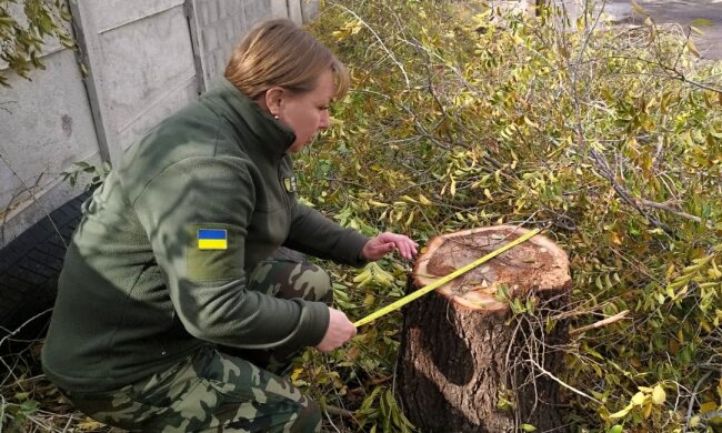 Держекоінспекція