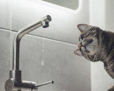 Перебої з водопостачанням в Одесі 18 серпня