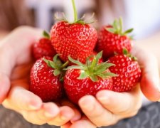 Пища для ума: ученые рассказали, что едят гении