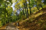 В Україні сьогодні прогнозують суху та теплу погоду