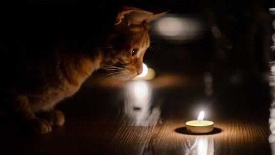 Отключения света / фото: Pinterest