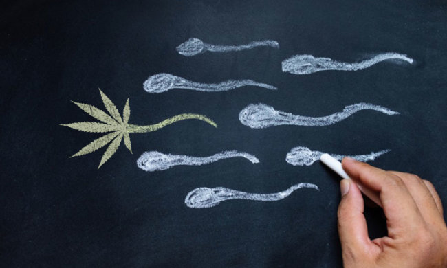 Дослідження: куріння марихуани може залишити вас без потомства
