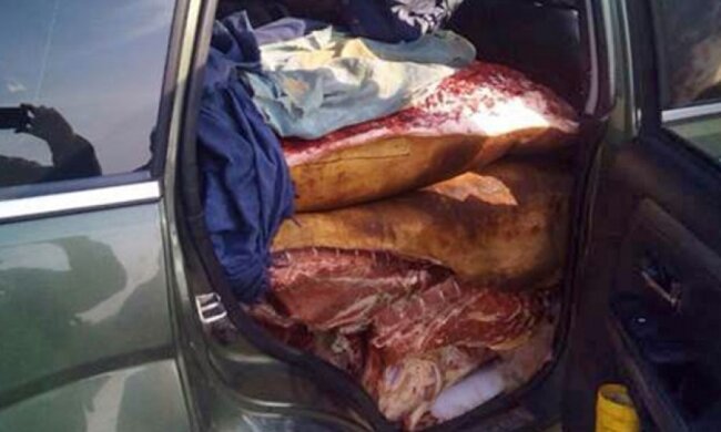СБУ задержали три грузовика, которые везли продукты для боевиков (фото)