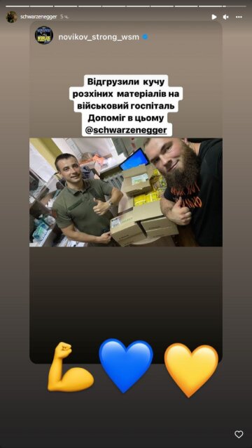 Арнольд Шварценеггер, скриншот: Instagram Stories