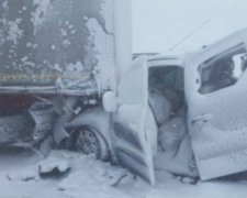 Біла смерть: у Словаччині заметіль зіштовхнула в купу 40 авто