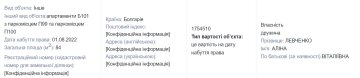 Майно Богдана Торохтій та Аліни Левченко / фото: скріншот Єдиного реєстру декларацій