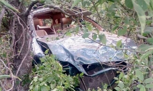Смертельна аварія на Донеччині: автомобіль вилетів з дороги в ліс