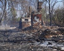 "Лес подожгли. чтобы скрыть воровство. Но до пеньков огонь не дошел" - самоселы о пожаре в Чернобыле