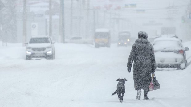 Погода на 15 января: украинцы окажутся в снежной ловушке, спасутся не все