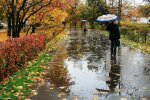 Львів'яни, ховайтеся під парасольки: синоптики вбили надію на прогулянку 4 листопада