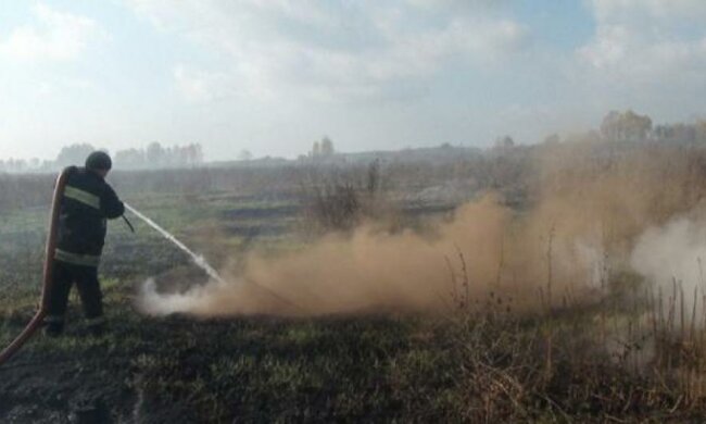 Под Киевом продолжают тушить 24 пожара на торфяниках (видео)