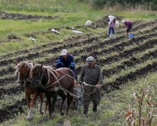 Українські фермери отримають 400 млн від Європейського банку: на що підуть ці гроші