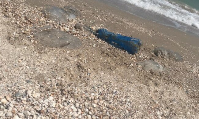 Туристів на Азовському морі атакують кусючі тварюки, і це не медузи — жалять прямо у воді