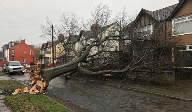 В сети показали последствия шторма в Великобритании