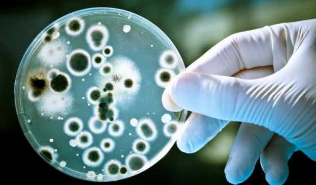 Стійкі до антибіотиків бактерії заселяють Землю