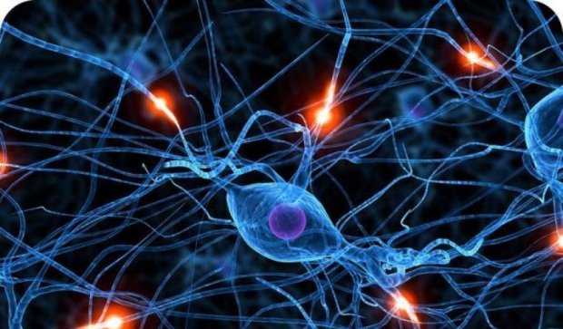 Дослідники виявили нові можливості людського мозку
