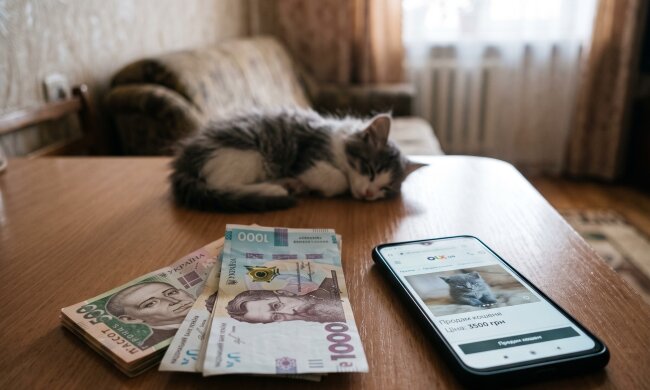 штраф кошенята гривні оголошення