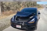 Tesla Model 3, скріншот