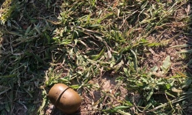 У столичному парку чоловік погрожував бойовою гранатою без чеки
