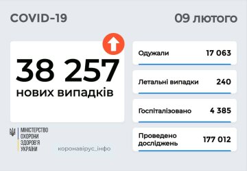 Статистика Минздрава, скриншот: Telegram