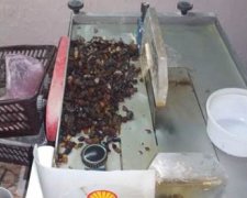 В Черновцах незаконно обрабатывали янтарь для продажи в ЕС (фото, видео)