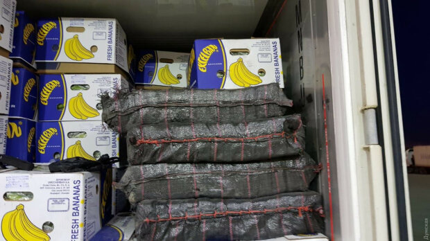 Одеський суд закрив справу про контрабанду наркотиків під виглядом бананів: "Товар зіпсувався, паліть"