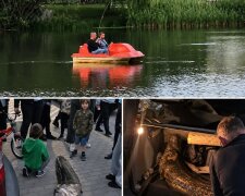 Сом з озера Балатон у Варшаві