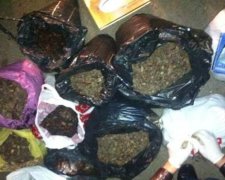На Рівненщині затримали скупника бурштину із 130 кг каміння