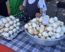 У Дніпрі встановили 7 кулінарних рекордів