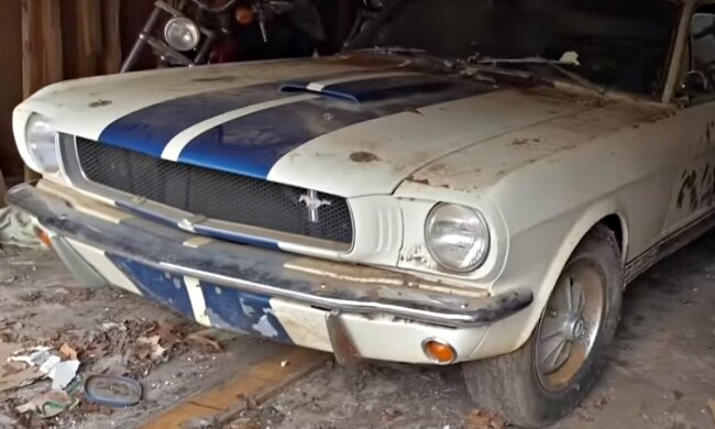 Знахідка. Фото: скріншот Youtube-відео