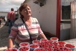 Продавчиня малини, Суспільне Тернопіль