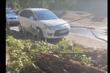 Скрин, видео YouTube