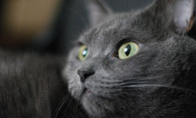 В заключительной двадцатиминутке в ворота гостей влетело еще три шайбы, а харьковчане ответили лишь одной.