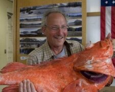 Найстаріший морський окунь, фото: AP