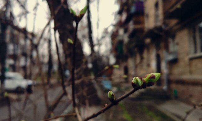 Погода в Україні, фото: Znaj.ua