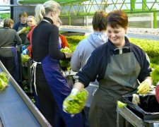 Чехи придумали, как заманить украинцев к себе