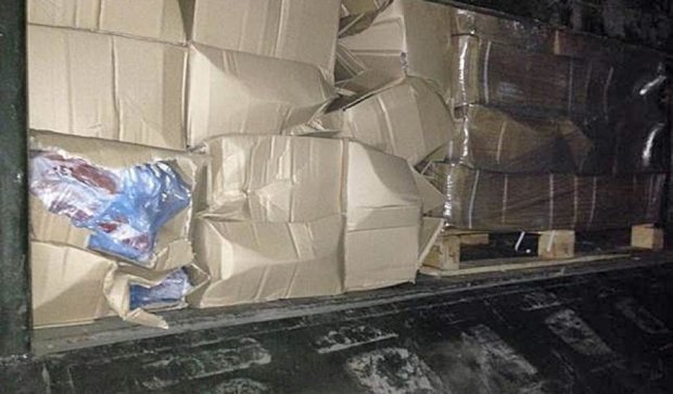 На кордоні з Росією затримали 35 тонн контрабандного сиру та м'яса (фото)