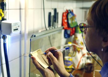 комунальні платежі