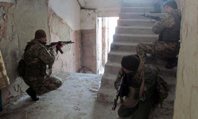 Захід помітив, як українська влада "розжиріла" на війні