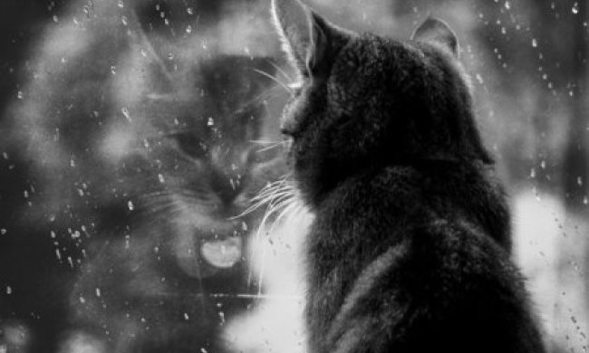 Дощі і похолодання повертаються в Україну